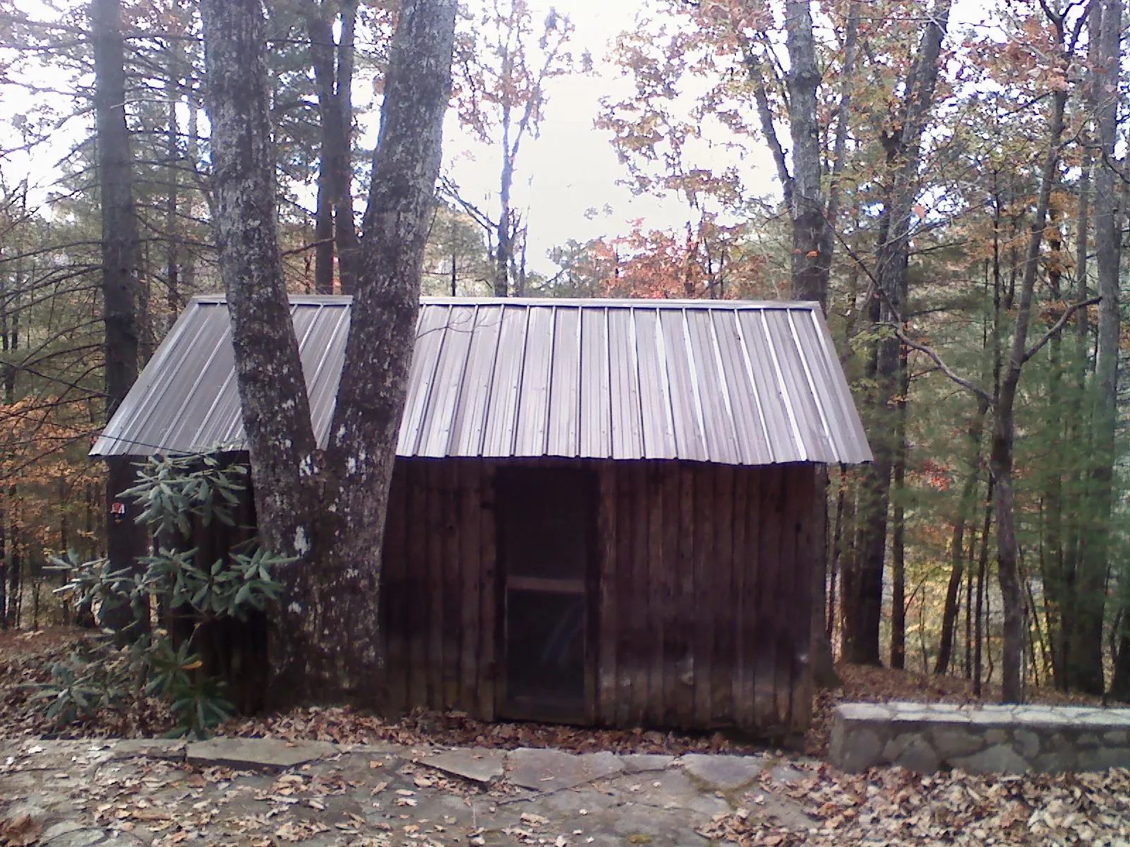 New metal gable roof on a small log shed among the trees in Hammett